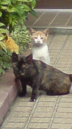 ���N����̓E�H�[�L���O���I