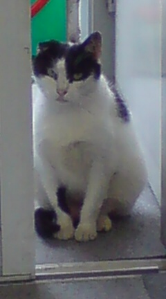 ���N����̓E�H�[�L���O���I