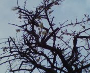 ���N����̓E�H�[�L���O���I