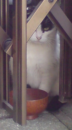 ���N����̓E�H�[�L���O���I