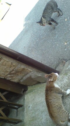 ���N����̓E�H�[�L���O���I