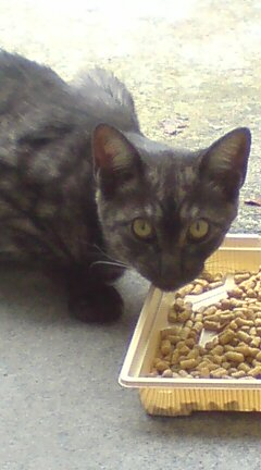 ���N����̓E�H�[�L���O���I