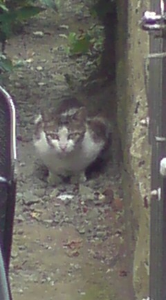 ���N����̓E�H�[�L���O���I