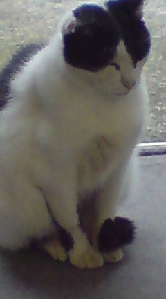 ���N����̓E�H�[�L���O���I