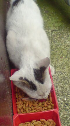 ���N����̓E�H�[�L���O���I