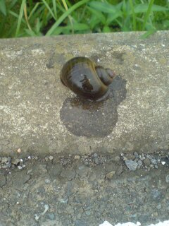 ���N����̓E�H�[�L���O���I