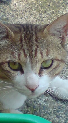 ���N����̓E�H�[�L���O���I