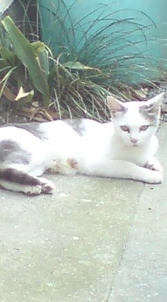 ���N����̓E�H�[�L���O���I