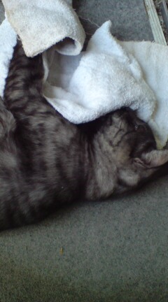 ���N����̓E�H�[�L���O���I