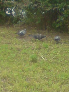 ���N����̓E�H�[�L���O���I