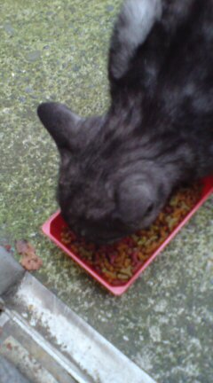 ���N����̓E�H�[�L���O���I