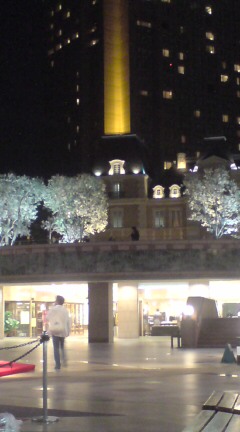 ���N����̓E�H�[�L���O���I