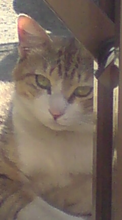 ���N����̓E�H�[�L���O���I