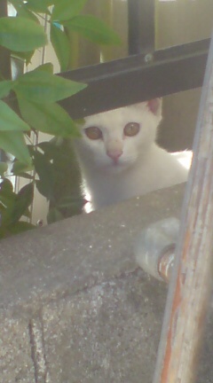 ���N����̓E�H�[�L���O���I