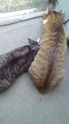 ���N����̓E�H�[�L���O���I