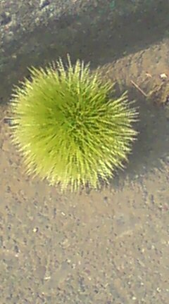 ���N����̓E�H�[�L���O���I