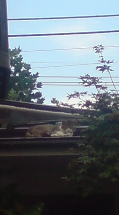 ���N����̓E�H�[�L���O���I