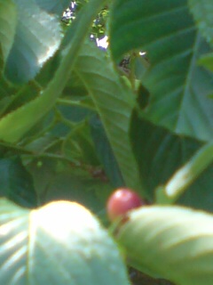 ���N����̓E�H�[�L���O���I