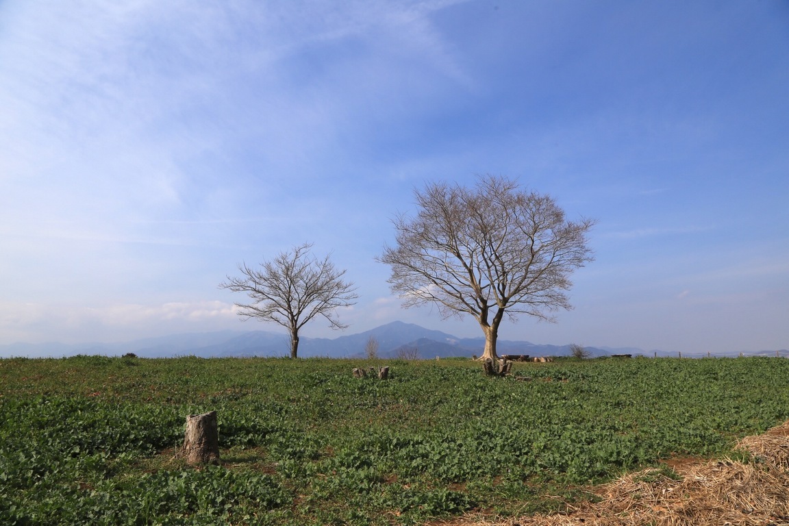 ���ˋg��U����