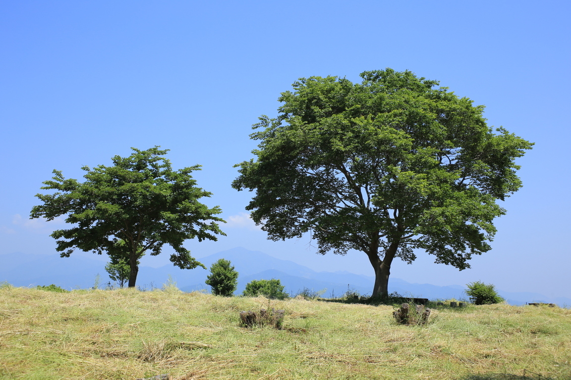 ���ˋg��U����