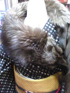 ���̒����@�@���c��