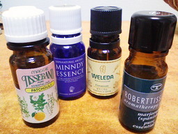 �i�`�������l�C���E�A���}�`�������������@�����������`