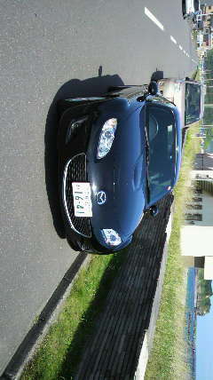 ��������撣���ē��L�������̂��I