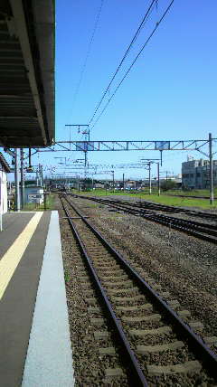 ��������撣���ē��L�������̂��I