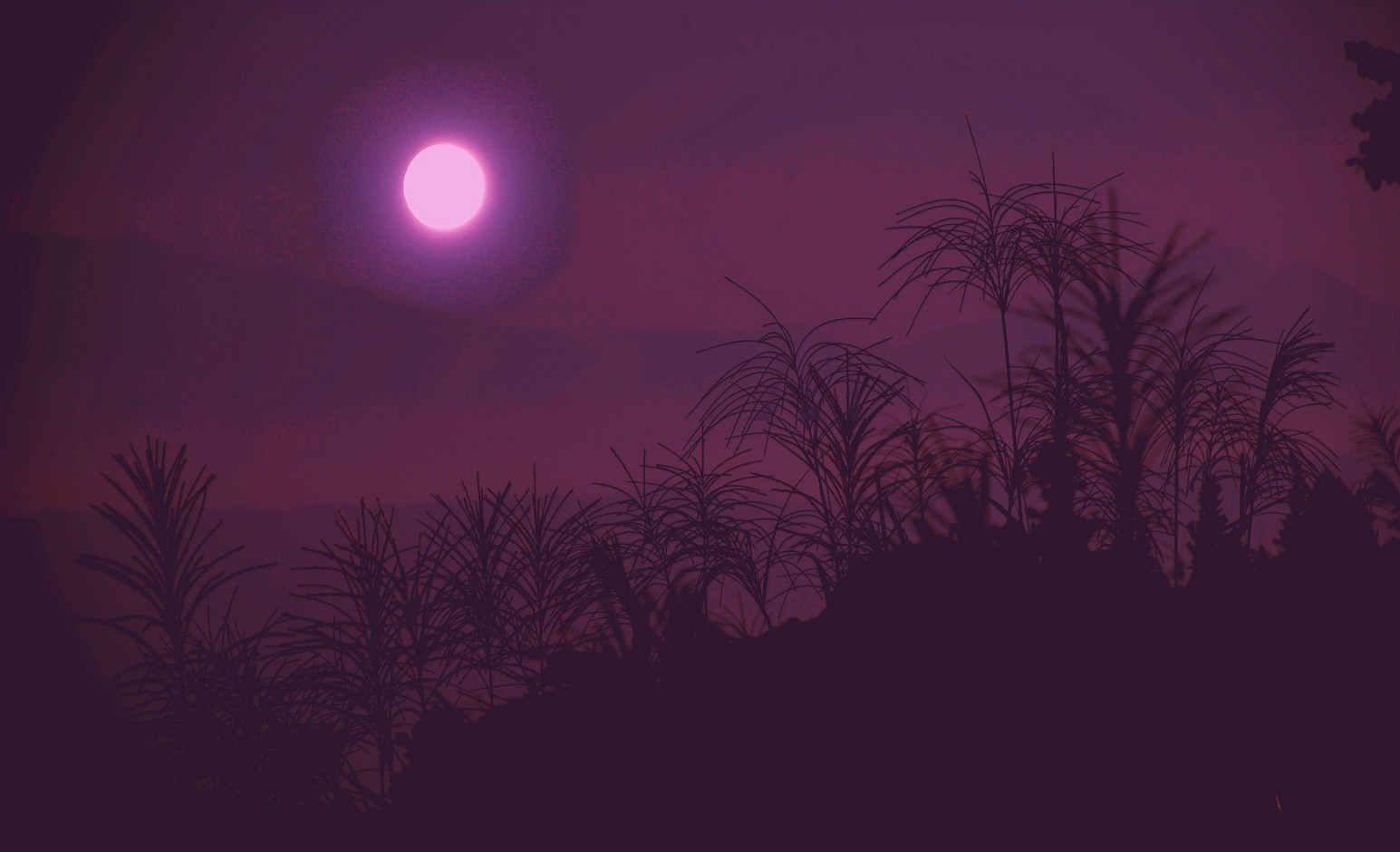 �΂��u�ʐM�u�V������{�̕��v