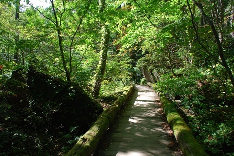 �΂��u�ʐM�u�V������{�̕��v