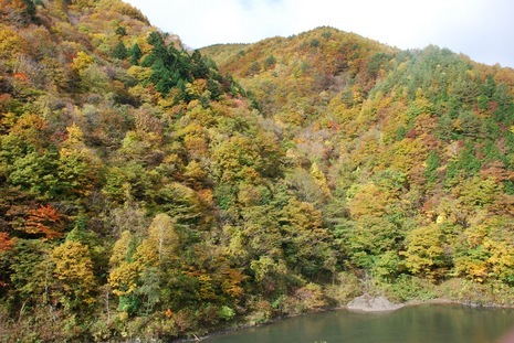 �΂��u�ʐM�u�V������{�̕��v