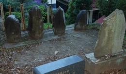 �΂��u�ʐM�u�V������{�̕��v