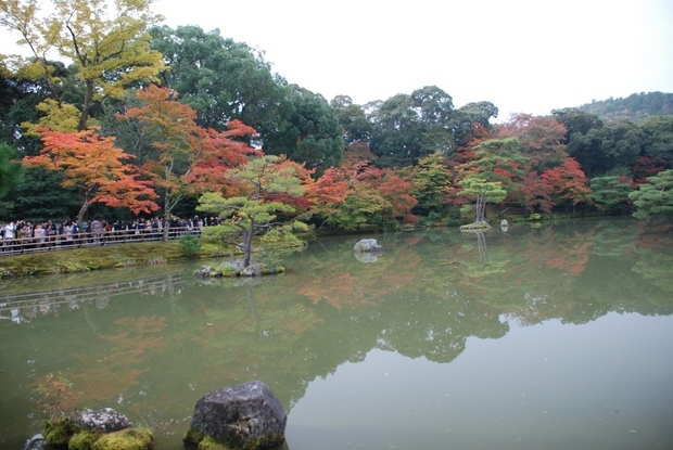 �΂��u�ʐM�u�V������{�̕��v