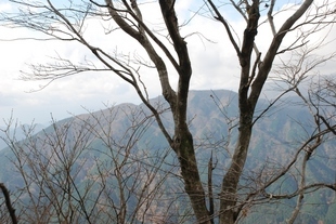 �΂��u�ʐM�u�V������{�̕��v