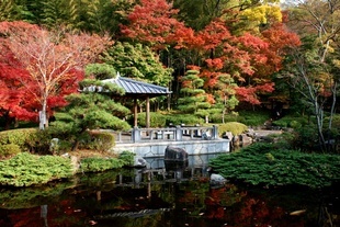 �΂��u�ʐM�u�V������{�̕��v