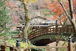 �΂��u�ʐM�u�V������{�̕��v