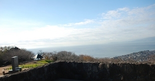 �΂��u�ʐM�u�V������{�̕��v