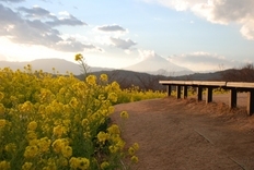 �΂��u�ʐM�u�V������{�̕��v