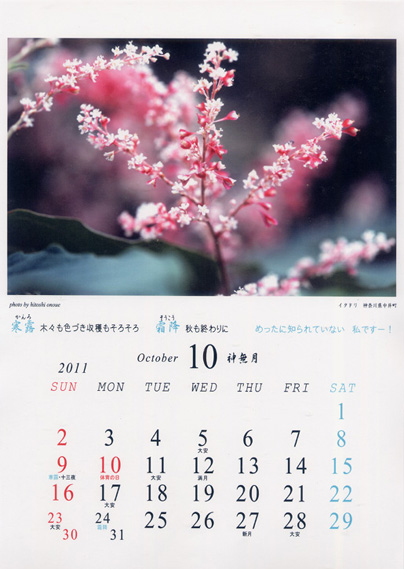 �t�H�g��̉�