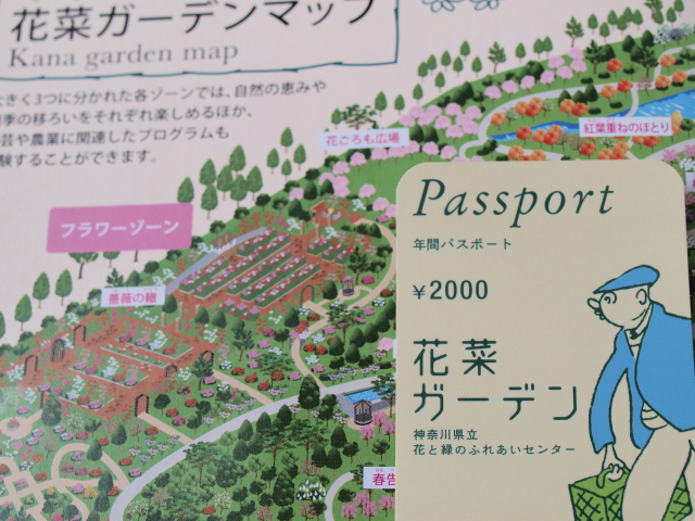 ̂肾[̃KN^