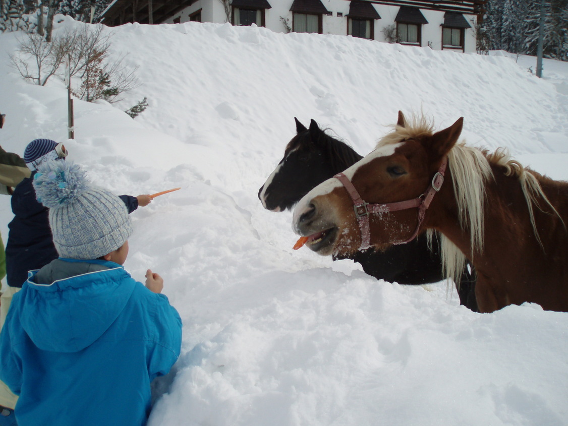 �i�L�j���쎩���Ԑ����H��