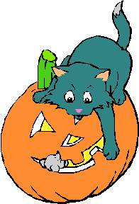 �� ���ǂ��Ԃa�@ �� OISO Veterinary Medicl Hospital