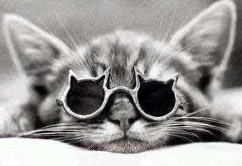 �� ���ǂ��Ԃa�@ �� OISO Veterinary Medicl Hospital