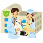 �� ���ǂ��Ԃa�@ �� OISO Veterinary Medicl Hospital