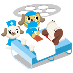 �� ���ǂ��Ԃa�@ �� OISO Veterinary Medicl Hospital