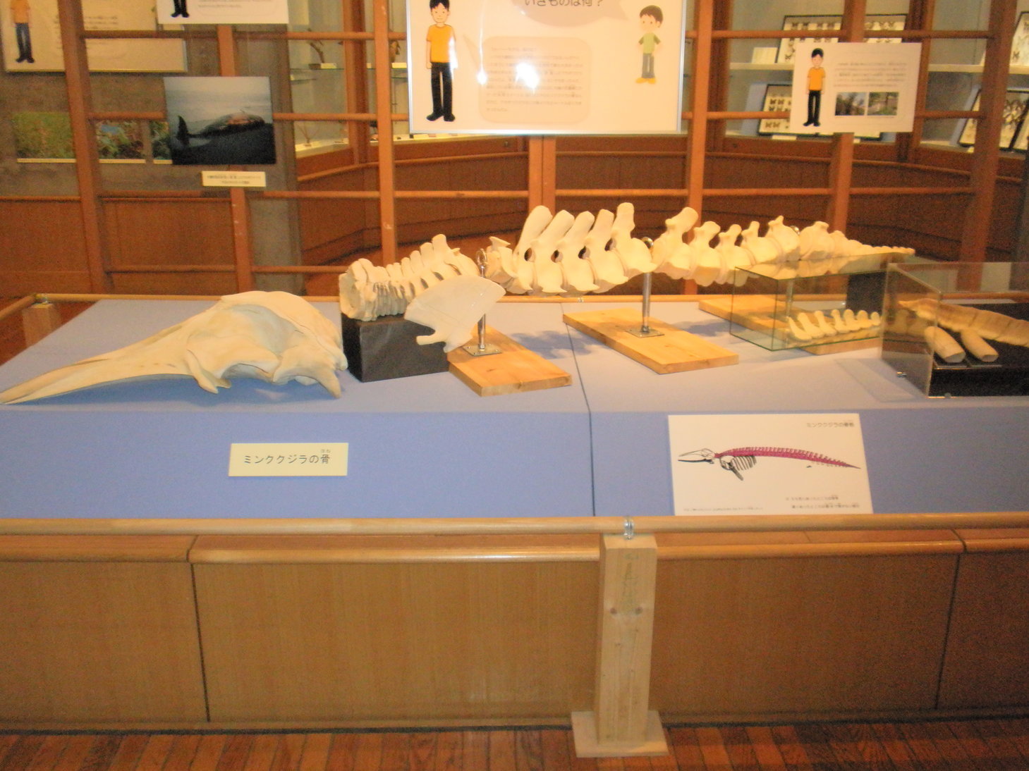 ��钬���y�����كm�[�g  Oiso Municipal Museum