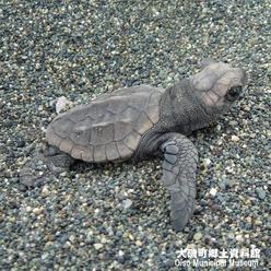 ��钬���y�����كm�[�g  Oiso Municipal Museum