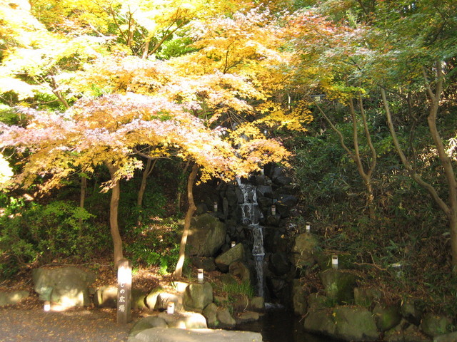 ��钬���y�����كm�[�g  Oiso Municipal Museum