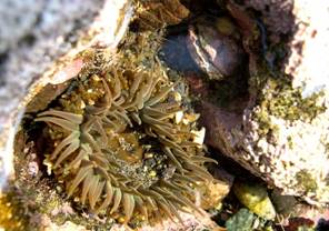 ��钬���y�����كm�[�g  Oiso Municipal Museum