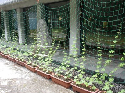 ��钬���y�����كm�[�g  Oiso Municipal Museum